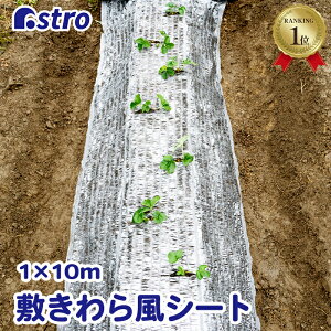 yyVSSXő80%OFFzyyV1ʁz~畗V[g 1×10m zCg  h~ ۉ Q ƒ؉ | LLV[g K[fjO AXg 530-09