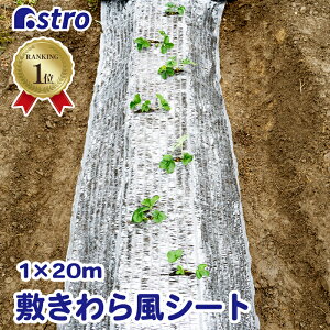 yyV1ʁz~m p ~畗V[g 1×20m zCg  h~ ۉ Q ƒ؉ | _ ʎ v^[ In͔| ۉ ێ ~ m  ڂ  X