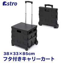 楽天市場】折りたたみ キャリーカート 訳ありの通販