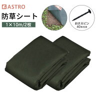 防草シート 1×10m 2セット 固定ピン40本付き グリーン 厚手生地が日光をシャットアウト 敷くだけ 雑草を…