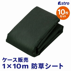 yő20%OFFN[|zϋv  hV[g O[ 1×10m 10g UVόܔz sDz ͂ǂ _ K[fjO |  Ԓd   H lH   񂽂  GV[g 