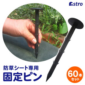 yő20%OFFN[|zyԌzhV[g Œs ubN60{g S15.5cm a3.3cm V[gŒ ɂ V[g | _  K[fjO Ԓd v^[  A 