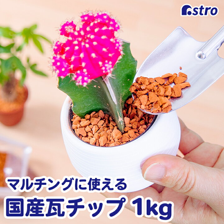 楽天市場】【店内最大20%OFFクーポン】瓦チップ 1kg 日本製 ブラウン 