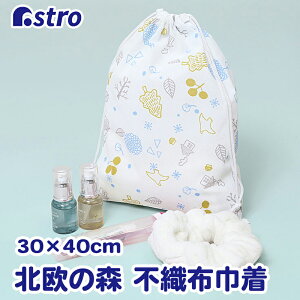 yXő20%OFFN[|zV[YobO zCg k sDz В V[YP[X В|[` C [ V[YTbN |Cg AXg 606-60 [M 1/2]
