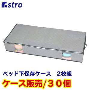 yXő20%OFFN[|zxbh[ ^ [P[X [{bNX O[ 2g 30Zbg sDz ʋCǍD zR悯 ۊǃP[X pCvxbh [ ߗ    ߑP