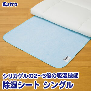 yXő20%OFFN[|z͏h_j V[g F u[ VOTCY 90×c180cm VJQ2`3{̋z V JԂg }bgX ~zc V[g 
