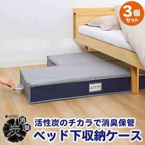 【最大20%OFFクーポン】衣類収納袋 衣類収納 小物収納 ベッド下収納 収納ケース 収納ボックス 収納袋 活性炭消臭 グレー×ネイビー 3枚組 不織布 持ち手付き ネームポケット 蓋付き すきま収