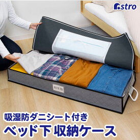 衣類収納袋 衣類収納 衣類 ベッド下 収納ケース 収納ボックス 収納袋 活性炭 珪藻土 消臭 グレー 除湿シート付 不織布 保管ケース 小物収納ポケット 防虫剤入れ ネームホルダー付き 折りたたみ 洋服 タオル 下着 小物 衣装 コスプレ クローゼット 押入れ アストロ 615-37