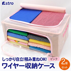 yő20%OFFN[|zyԌz[{bNX t 2g sN sDz  X^bLO C[ŏŎ[ [P[X ߑP[X AXg 620-66