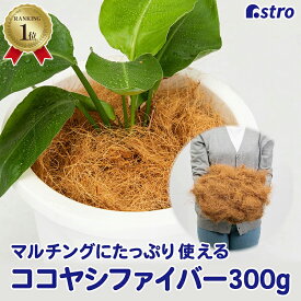 【楽天1位】ココヤシファイバー 約300g ココファイバー 天然素材 天然 ナチュラル ココヤシ ヤシ 繊維 ガーデニング 園芸 家庭菜園 プランター 鉢植え 観葉植物 マルチング 土隠し ココヤシ繊維 天然素材 鉢底石 底石代わり 乾燥防止 雑草対策 アストロ 624-03