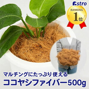 yyV1ʁzRRVt@Co[ 500g RRt@Co[ VRf VR i` RRV V @ K[fjO | ƒ؉ v^[ A ϗtA }`O yB RRV@