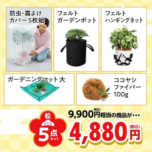 y܁zK[fjO | _ ƒ؉  ObY Zbg }`O RRVt@Co[ K[fjO|bg sDz|bg tFg|bg K[fjO}bg nMOlbg