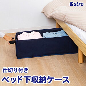 yő20%OFFN[|zxbh[P[X lCr[ d؂t [{bNX |GXe vȐn [ ߗ obO  ۊǃP[X  gN[ AXg 830-09