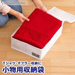 yő20%OFFN[|zyԌz [P[X [{bNX [ zCg p t ho  sDz g ςݏd ܂肽 ۊǃP[X ߗ m  V