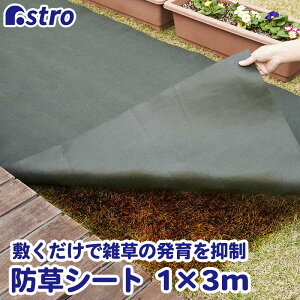 yő20%OFFN[|zϋv  hV[g 1×3m O[ UVόܔz sDz ͂ǂ  Jbg _ K[fjO |  Ԓd   H lH   G΍ h~ 