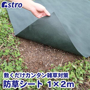 yő20%OFFN[|zTCY ϋv  hV[g 1×2m O[ UVόܔz sDz ͂ǂ _ K[fjO |  Ԓd   H lH   G΍ 񂽂 