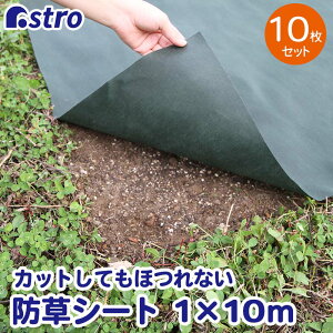 yő20%OFFN[|zhV[g O[ 1×10m 10Zbg V[g sDz  UVόܔz |V[g  ͂ǂ ݍ ϋv G΍ Gh~ |p ƒ؉ 