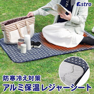 炩ۉ W[V[g VOTCY lCr[ ̗t A~V[g sNjbN  ToCoV[gAXg 822-41