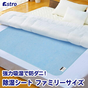 yő20%OFFN[|z~pbh u[ 120×160cm t@~[TCY z h_j V[g VJQ2`3{̋͋z zc ~pbh xbh ƕzc̊ Q Q JbƑu  