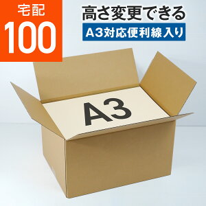 _{[ i{[ 100TCY A3 (֗ 430x310x250) _{[ i{[ 100TCY z z zZbg ʔ  z100 A3  [ ۊ ύX  i{[ 100