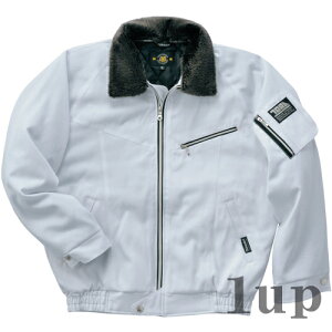 M-5L ƕ Ј h 2530-129 V^pCbgWp[ (h)(傫TCYi)