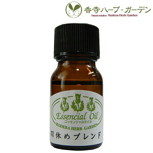 lR|XΏہ@n[uEK[f@GbZVIC@Hx߃uh@XC[gIW×x_[@10ml@A}