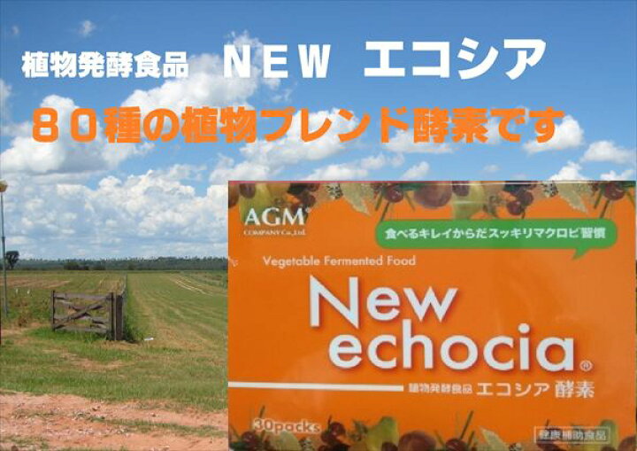楽天市場 酵素ダイエットサプリ 植物発酵食品ブラジル酵素エコシア １０ｇｘ９０包 只今 １０ｇ 商品と同内容の試供品 を３０包プレゼントです クオーレこころshop