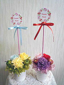 yzCeA@̓@XIWi@vU[uht[@Thanks Mom!sbNtJ[l[VAW!@J[l[ṼJ[Iׂ܂!