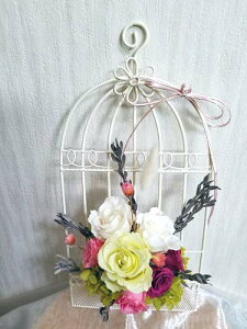 yzCeA@a@j@AEj@ސEj@̓@hV̓@ȃvU[uht[ Spring Flower!@White Ǌ|@MTCY