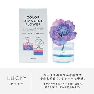 J[`FWOt[ / A[g{ ARTLAB. [tOX \t[fBt[U[ A}tOX v[g MtgΉ