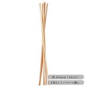 BIGリードスティック 8本 / 籐製 天然素材 リードディフューザー アロマディフューザー スティック 400mm アートラボ ARTLAB.