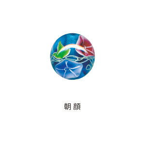 cotoiroとんぼ玉朝顔