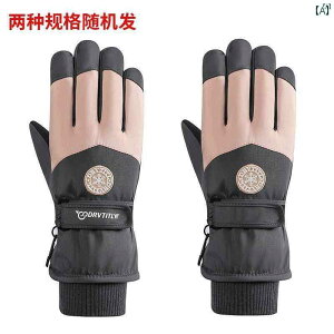 t@bV@t@bV@@IV ~ d oCN   g h ۂ YfB[X XL[ p O[u Rbg h ^b` XN[