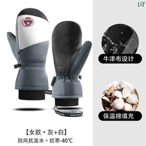 t@bV@t@bV@@IV ~p fB[X XL[ O[u xxbg  Rbg gp  ۉ h ێ ^b` XN[ ~g TCNO h