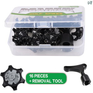 St V[Y XpCN 16{ s[X Ȉ ` v[g