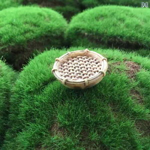 �u�� �� �~�j�i�� ���g�� �|�� �^ ������ DIY �g�� �L�b�g �����A�� ���| �G�� ���C�g�u���E�� �C���e���A �f�R���[�V���� ���^ �������� ������
