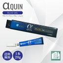 其他口腔用品｜BSA αクイン BLUE GEL 20g 歯科技工用 瞬間接着剤 ゼリー状タイプ 強力 人工歯脱落防止 接着材 表面処理材 持続性 粘…