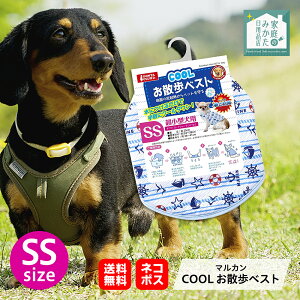 }J COOLUxXg N[xXg SSESEMEL p EGA ^ ^ ^  ybgpi Ђ  N[ ΍ MǑ΍ U