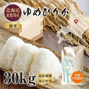 ߘa7Nx V kC Y ߂҂肩 1kgiāj 5kgiāj 10kgi9kgj 20kgi18kgj 30kgi27kgj  R    uh uh  ͂  G