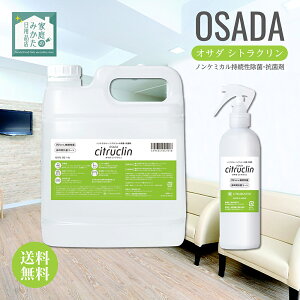 IT_ VgN OSADA mP~JہERۍ VRI[KjbNf mAR[ Y  F O[vt[cqGLX