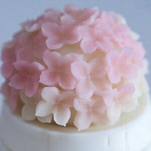 aَq ؂   ̌^ z AWTC  ^ ^  ^E^Zbg aَq  G t ٗpi 킢 َq ^ No.hr-22 ̌^ A