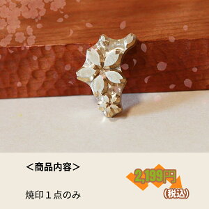 KUNNKENN aَq Ĉ Ă  TN  Ԃт@Ă@No.25-HN|30X19mm|Mtg v[g َq  ĂRe ٓ Ă nhCh XeX p َq IW