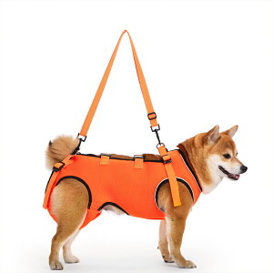 yyVX[p[SALE 50%OFFz n[lX pn[lX SgT|[g s⏕ ^ ^ V V O 둫 ⏕ ybgp s⏕n[lX pn[lX EȒP ߉\  