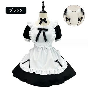 Ch RXv L lR 킢 t ZNV[  ubN ߂ l fB[X o^C Gv J`[V  XJ[g s[X   { sN  