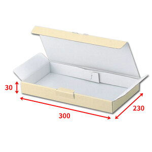 {bNX300×230×30mmu200vϔ _{[  bsO @llzs