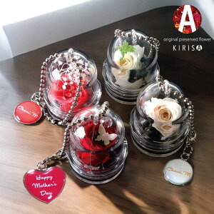 L[z_[ vU[uht[  vU[uht[ ~j h[ `F[ Xgbv `[ o KN  O IWi 쐬  킢  O[ ̓