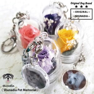ペットメモリアル グッズ キーホルダー 枯れない花 プリザーブドフラワー 仏花 供花 ミニ お供え花 お供えの花 ドーム 名入れ ペット 写真入り キーリング ボールチェーン チャーム バラ 薔