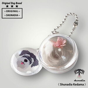 ̖т L[z_[ ̖ыʃ{[ Aɂ vU[uht[  ybg  P[X  ѓ ѓ ̖ю[{g ыʓ 킢 g 