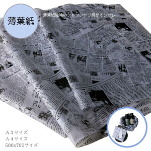 y t bsO  pV z   mN O[ bsO  bsOy[p[  Jbg Jy Ȏ  }VF ɏՍ A3 A4 傫TCY a3 a