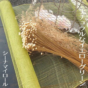 yX[p[Z[zzy V[i}C[ O[ z bsO v[g AWg t[AW RT[W i`   A~ f a